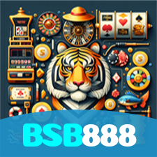 BSB888 visual