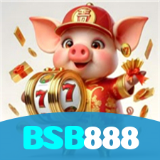 BSB888 visual
