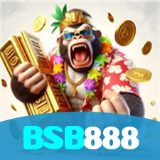 BSB888 visual