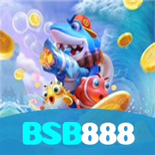 BSB888 visual