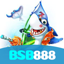 BSB888 visual