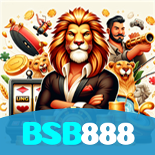 BSB888 visual