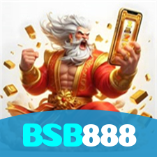 BSB888 visual