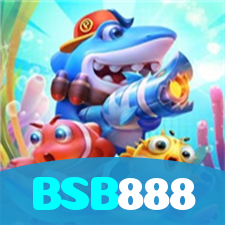 BSB888 visual