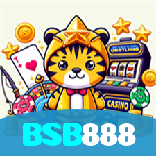 BSB888 visual