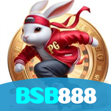 BSB888 visual