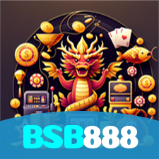 BSB888 visual