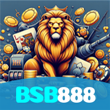 BSB888 visual