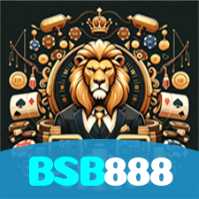 BSB888 visual