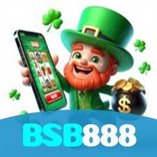 BSB888 visual