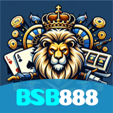 BSB888 visual