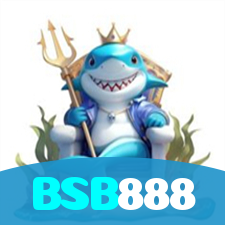 BSB888 visual