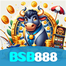 BSB888 visual