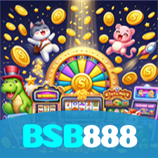 BSB888 visual