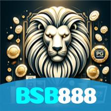 BSB888 visual