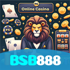 BSB888 visual
