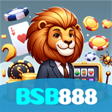 BSB888 visual