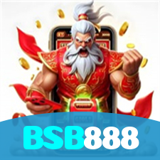 BSB888 visual