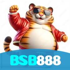 BSB888 visual