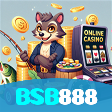 BSB888 visual