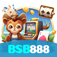 BSB888 visual