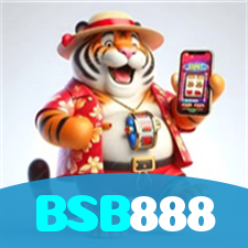 BSB888 visual