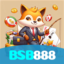 BSB888 visual