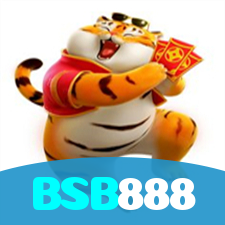 BSB888 visual