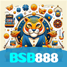 BSB888 visual