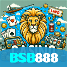 BSB888 visual