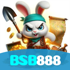 BSB888 visual