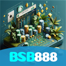 BSB888 visual