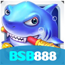 BSB888 visual