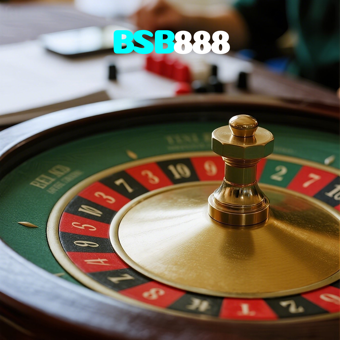BSB888 visual