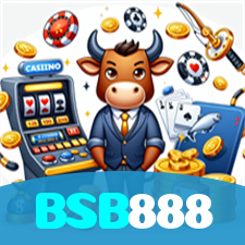 BSB888 visual