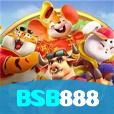 BSB888 visual