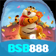 BSB888 visual