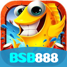 BSB888 visual